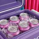 Igloo Tag Along Too Coolers | Insulated Hard Shell Picnic Style Cooler | Rolling Ice Chest