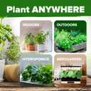 HOME GROWN 25 Herb Seeds for Planting 8,700+ Non-GMO Heirloom Seeds | Extra Large Variety Pack Herb Kit  Indoor Outdoor & Hydroponic | Culinary Seed Set | Grow Your Own Herbs | Gardening Gift