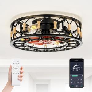 20" Caged Ceiling Fan with Lights and Remote, Low Profile Flush Mount Ceiling Fan, Enclosed Bladeless Fandelier with Silent DC Motor, Reversible 6 Speeds Industrial Farmhouse Fan Light Fixture
