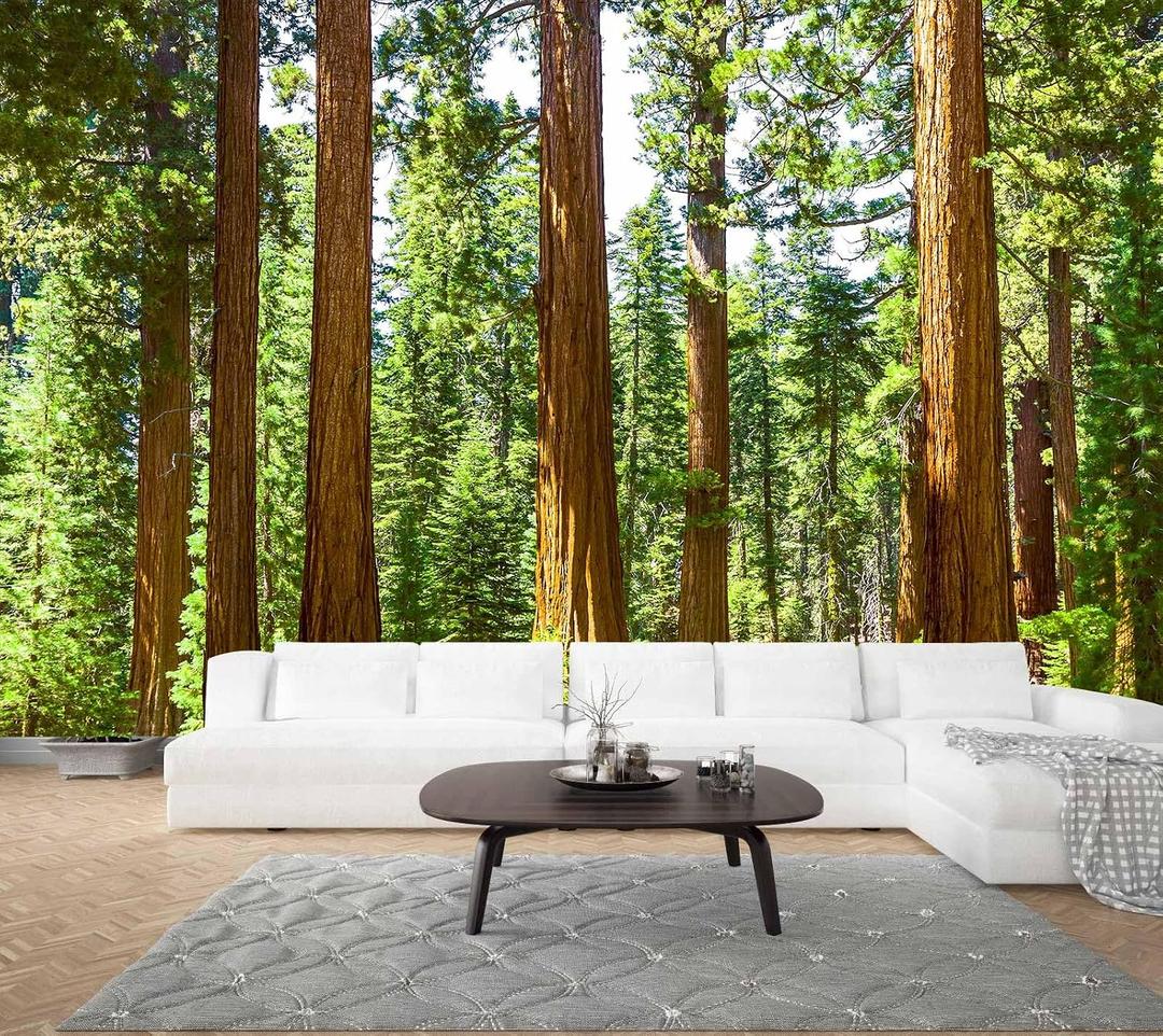 WFBHUA-Redwood Forest Wallpaper Green Woodland Tree Wallpaper for Bedroom Large Art Wall Murals for Living Room Office (Not Peel and Stick) 170" x 110"