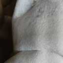 SAFAVIEH Area Rug 8x10 - Amelia Collection - Large - Ivory & Grey, Modern Design, Non-Shedding & Easy Cleaning, Ideal for Living Room, Bedroom, Office, Dining Space (ALA448A)