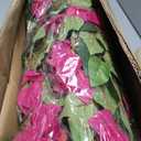 3FT Artificial Bougainvillea Tree, Faux Bougainvillea for Indoor Outdoor Decor, Lifelike Bougainvillea Artificial Flowers Plant for Outdoors, Front Porch, Entryway, Office & Living Room