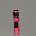 Vizpet LED Dog Collar, Light Up Dog Collar Adjustable USB Rechargeable Super Bright Safety Light Glowing Collars for Dogs (Small, Pink)