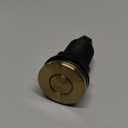 KRAUS Flat-Top Garbage Disposal Air Switch Button in Brushed Brass, KWDB-20BB