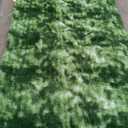 HQAYW 5x8 Fluffy Dark Green Area Rugs for Living Room Bedroom, Ultra Soft Plush Shaggy Bedside Rug, Non-Slip and Machine Washable Carpet for Kids Girls and Boys, Dorms, Nursery Rooms, Home Decor