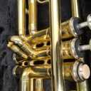 Trumpet Instrument,Band & Orchestra Musical Instruments for Beginners,With trumpets case,Mouthpiece,Cloth and Gloves (Golden)