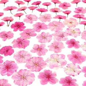 48 Pcs Mix Natural Dried Pressed Cherry Blossoms for Floral Cake Decorating, Cocktail Garnish, Resin Jewelry Making, DIY Art Crafts (Pink Sakura)