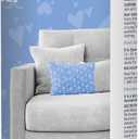 PETARMOR Home Carpet Powder for Fleas and Ticks, Protect Your Home From Fleas and Deodorizes Carpets, 16 Ounce