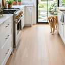 DEXI Kitchen Plastic Carpet Runner Ultra Thin, Vinyl Clear Floor Mat 24x72, 72"L x 24"W x 0.1"Th