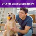 4 x Wellness Rewarding Life Dog Treats, Training Treat, Grain Free, Soft Beef & Turkey (6 Ounce Bag) (0.38 Ounce (Pack of 1))