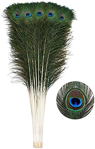Ballinger 30pcs Natural Peacock Feathers Long Pole Bulk 32-35 inch for DIY Craft, Wedding Holiday Decorationn and Floral Arrangement