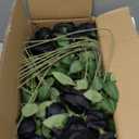 Gazaar Artificial Roses Long Stem 50pcs Fake Roses for DIY Wedding Bouquets Centerpieces Home Decorations (Black)