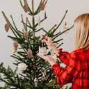 8 Pcs Christmas Pinecone Ornaments, Plastic Hanging Pine Cone Decoration for Tree, Shatterproof Pinecone Balls for DIY Crafts Home Xmas Decor, Matte and Glitter Festive Holiday Pendant