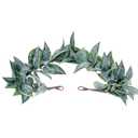 MOSTORY Green Greek Laurel Crown - Woodland Goddess Greek Hairband for Toga Costume Adult, Greenery Roman Leaf Crown for LARP Renaissance Royal Cosplay Photo Shoot