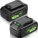 24V Battery Replacement for Greenworks: 24 Volt Lithium Lawn Mower Battery 29842 29852 LB24A020 for Greenworks 24V Trimmer Weed Blower - 6.0Ah 2 Pack