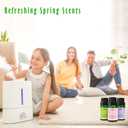 Spring Fragrance Oils Set of 14, MitFlor Premium Diffuser Essential Oils, Candle Making Scents, Aromatherapy Essential Oils Gift Set, Cherry Blossom, Garden Iris, Spring Bloom, 14x10ml