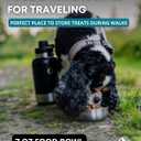 Dog Water Bottle Insulated Dog Travel Water Bottle Stainless Steel Pet Water Bottle Dispenser Portable Food and Water Bowl for Dogs with Carrying Case for Walking Dog Travel Kit (Green Blue, 32 oz)