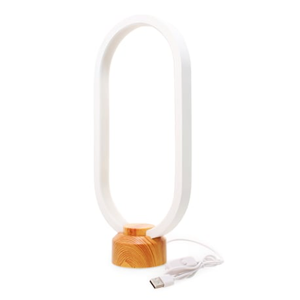 LED Modern Style Oval Light