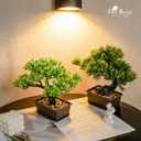 Der Rose 2Pcs Small Fake Plants Artificial Bonsai Tree Set Ficus and Cedar for Office Desk Shelf Room Home Zen Decor Indoor