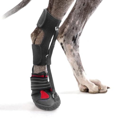 Strap-On Drop Foot Brace (No Knuckling Boot Brace) for Dogs— Corrective Dog Shoes to Safely Lift Toes for Foot Issues, Arthritis, and improving Walking gait in Dogs, Patent Pending(M)