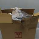 TIPGO Automatic Motion Sensor Bathroom Can with Lid, 2.6 Gallon Touchless Bin, Smart Garbage Can Plastic Slim Wastebasket for Bedroom, Office, Dorm (Black)