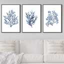 Large Framed Coral Wall Art, Navy Blue Coastal Ocean Life Prints, 24"x36"x3, 24" X 36" X 3pcs Framed