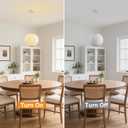 Globe Silk Pendant Light 10in Small, White Imitation Silk Shade