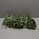 Tigeen 200 Pcs Artificial Eucalyptus Stems Tall 11.8 Inch Tall Faux Eucalyptus Branches Fake Greenery Plants Stems for Vase Home Party Wedding Decorations