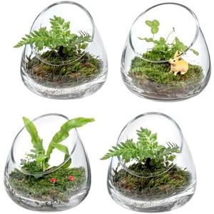 MyGift 5 Inch Premium Clear Glass Air Plant Terrarium, Tealight Candle Holder, Succulent Cactus Plant Vase, Set of 4