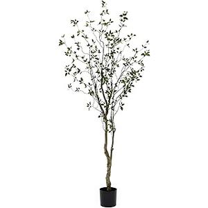 Nearly Natural Minimalist Artificial Citrus Tree, Faux Greenery for Indoor Living Room Home Decor