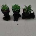 Der Rose 3pcs Fake Succulents Plants Artificial for Black Bathroom Bedroom Home Living Room Halloween Decor Aesthetic Indoor