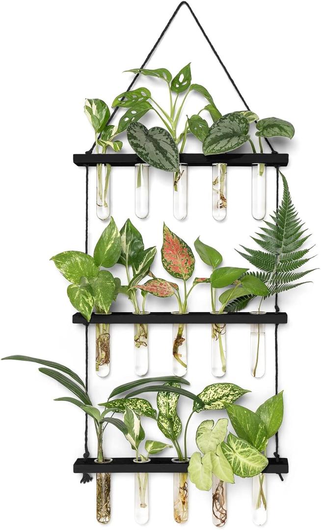 Mkono 3 Tiered Wall Hanging Plant Terrarium with Wooden Stand Mini Test Tube Flower Vase Glass Planter for Hydroponic Plant Cutting Home Garden Office Decor Gift (Medium, Black)