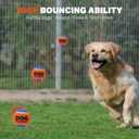 2 x AMA SPORT Squeaky Tennis Balls for Dogs 2.0" Small Dog Tennis Balls for Throwing and Fetching Dog Toys for Training, Exercise, High Bouncing 4 Pack (Orange Yellow)