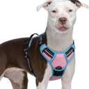 rabbitgoo Dog Harness No Pull with 2 Leash Clips, Adjustable Soft Padded, Reflective Oxford No Choke Pet Vest with Easy Control Handle for Large Dogs, Pink & Blue, XL