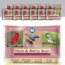 Blue Seal Nuts & Berry Suet Cake | No Mess Wild Bird Suet | 11 oz (12 Pack)