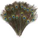 DECORA 100 Pieces Real Natural Peacock Feathers for Craft Halloween Costume Bridesmaid Corsage Christmas Wreath and Home Decor 10 Inch-12 inch