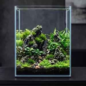 Cirrsondy 5.18 Gallon Glass Fish Tank, Low Maintenance Small Aquarium for Betta Fish, Snails, Shrimp & Aquatic Plants