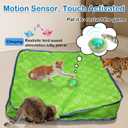 Waaiio Interactive Cat Toys for Indoor Cats,Automatic Moving Cat Ball in Pouch,Chirping Stimulation,Hide-n-Seek Chase Exercise Game,Motion Activate,Rechargeable Kitten Toys