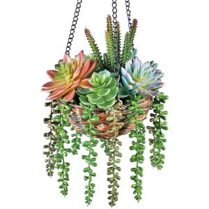 Collections Etc Hanging Colorful Faux Succulents in Rattan Basket