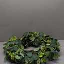 24 Inch Eucalyptus Summer Wreath for Front Door, Summer Spring Wreath for Grapevine Farmhouse with Silk Printing Dollar Leaves Wreaths for Festival Celebration Front Door Wall Window Home Dcor (Green)