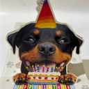 3D Pop-Up Rottweiler Dog Birthday Card - Rottweiler Dog with Cake Celebration, Whimsical Happy Birthday Greeting for Dog Lovers - Rottweiler Dog 3D Birthday Pop Up Cards