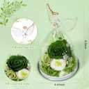 FIACO Gifts for Women Mom Preserved Rose Forever Flower in Glass Angel Figurine Fresh Flowers for Delivery Prime Birthday Gifts for Grandma Wife Sister Christmas Anniversary Eternal Roses