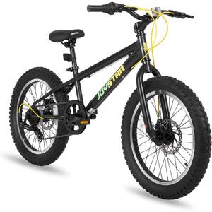 JOYSTAR 20 Inch Mountain Bike for Kids Ages 7-12 Year Old, 3-Inch Wide Knobby Tires, 7 Speed Shimano Drivetrain, Disc Brakes, Fat Tire Kids Bicycles for Boys Girls (Black)