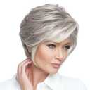 Raquel Welch Go To Style Versatile Flattering Short Shag Wig by Hairuwear, Average Cap, RL56/60 Silver