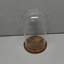 MyGift The Bell Jar Glass Cloche with Rustic Wood Base, 10 Inch Tall Clear Decorative Glass Dome Display for Plants, Curios, Keepsakes, Heirlooms