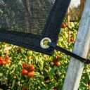 ShadeMart 50% Shade Cloth for Plant,Black 8 FT x 1 6FT Outdoor Shade Tarp, Shade Cover with Upgrade Grommets and Zip Ties,Netting Sunblock Net for Vegetables Flower Garden Greenhouse,We Custom Size