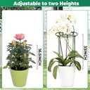 QwayHome 3Pack Peony Cages and Supports 33''H x 13''D Grow Through Large Plant Support, Adjustable High, Heavy Duty, Rust-Resistant, Round, Flower Support Cage Ring for Rose Tomato Hydrangea