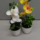 XONOR 2Pcs Artificial Orchid Flowers Mini Potted Orchid Flowers Fake Orchids with Plastic Vase for Home Office Wedding Table Centerpiece Decoration(White,Yellow)