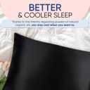 Blissy Silk Pillowcase - 100% Pure Mulberry Silk - 22 Momme 6A High-Grade Fibers - Silk Pillow Cover for Hair & Skin - Regular, Queen & King (Black, Standard)