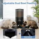 DUMOS 6L Automatic Cat Feeder for 2 Cats, Timed Pet Food Dispenser, Black